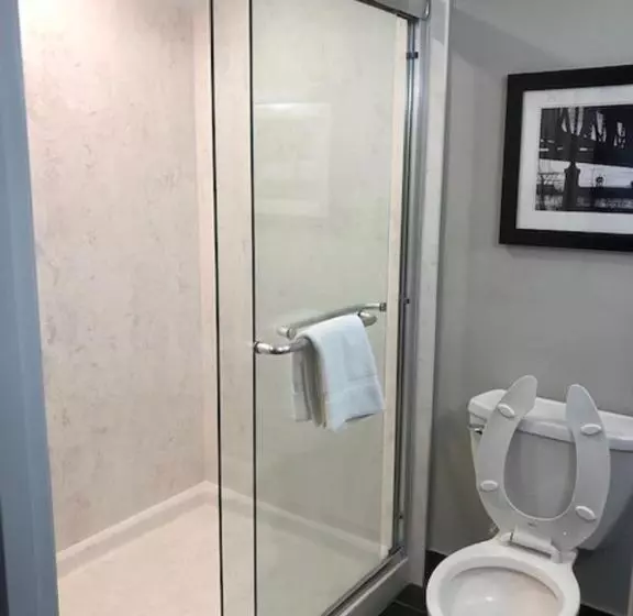 キングサイズベッドのスタンダードルーム, Holiday Inn Lafayette North, An Ihg