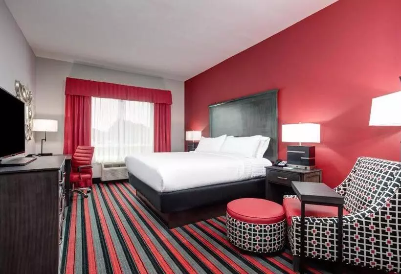 身障者適用キングサイズベッドルーム, Holiday Inn Lafayette North, An Ihg