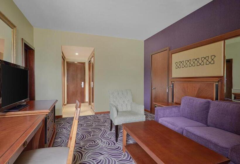 سوئیت با تخت بزرگ, Holiday Inn Tabuk, An Ihg