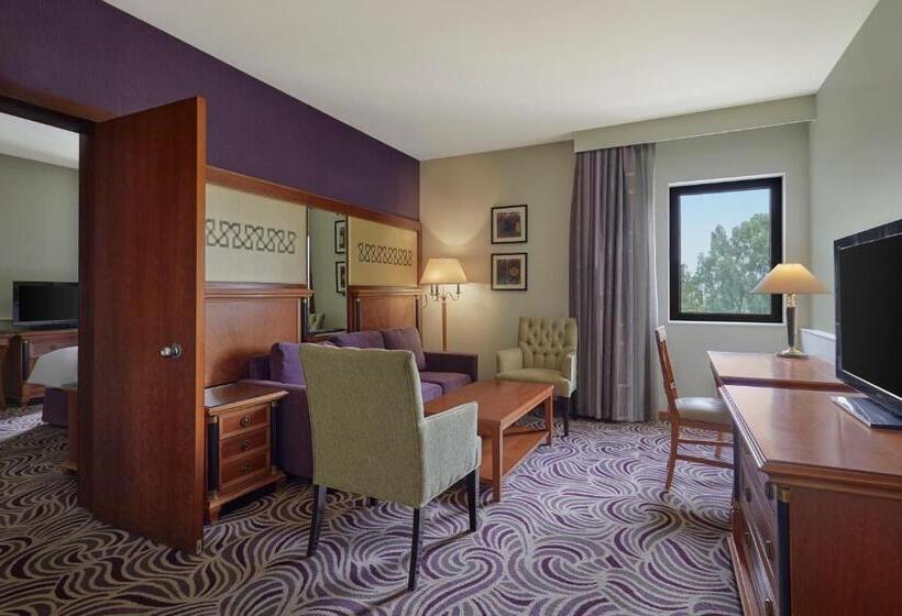 سوئیت با تخت بزرگ, Holiday Inn Tabuk, An Ihg