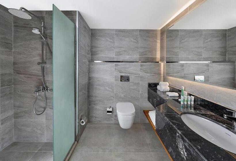 اتاق استاندارد با چشم‌انداز باغ, Holiday Inn Tabuk, An Ihg