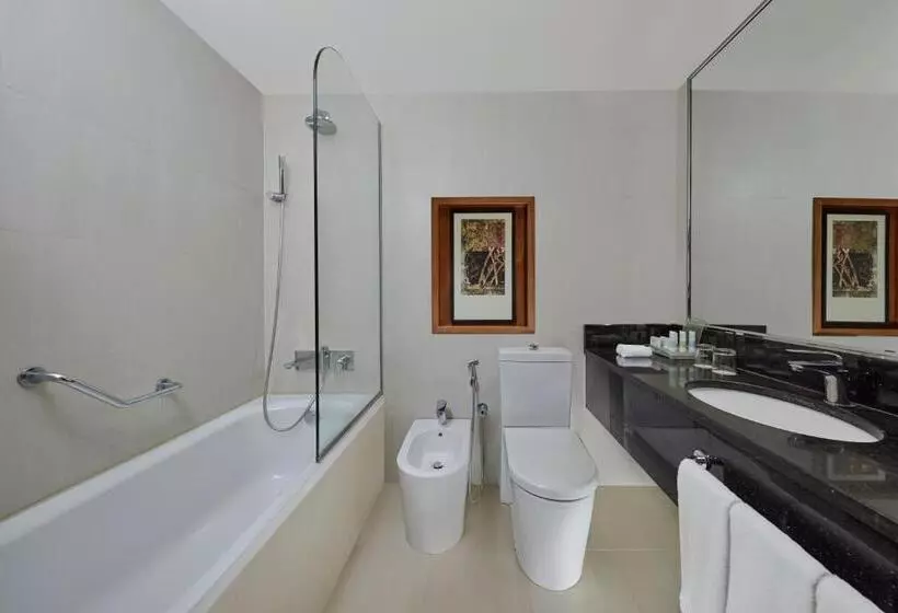 اتاق استاندارد با تخت دوبل, Holiday Inn Tabuk, An Ihg