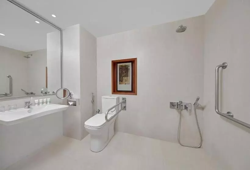 اتاق استاندارد برای معلولان, Holiday Inn Tabuk, An Ihg