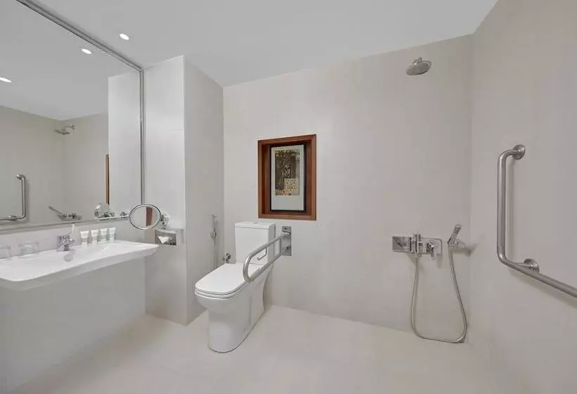اتاق استاندارد برای معلولان, Holiday Inn Tabuk, An Ihg