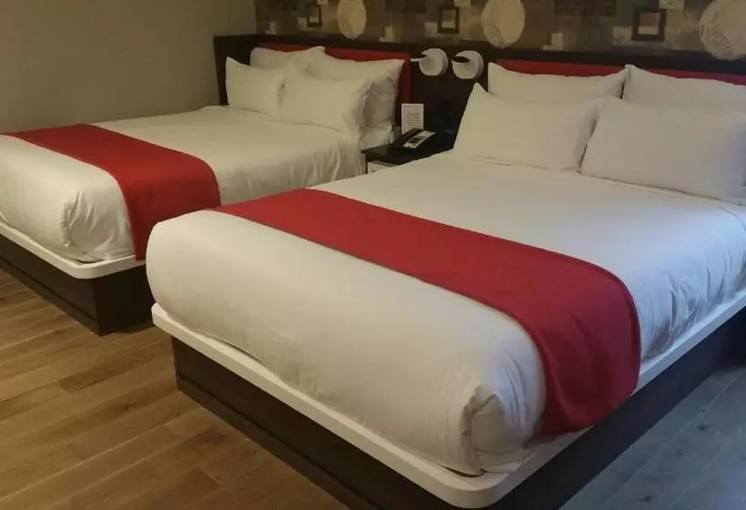 Standard-huone, Nobleden
