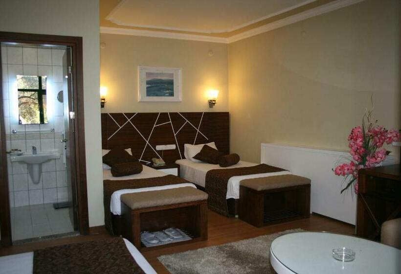 Standard Kolmen Hengen Huone Puutarhanäkymä, Nysa