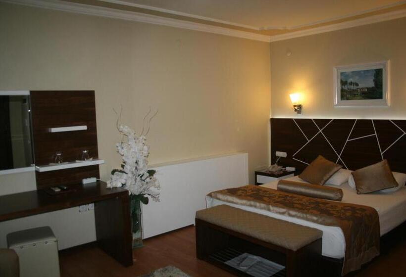 Standard-huone Allasnäkymä, Nysa