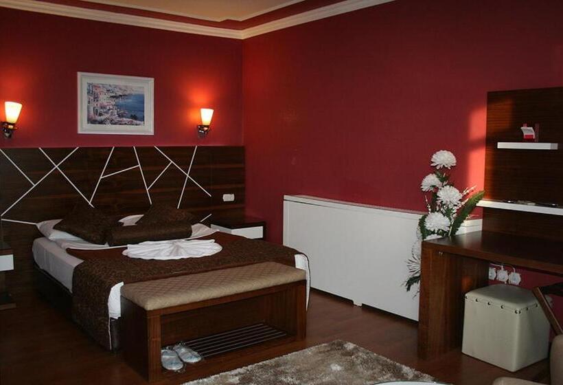 Standard-huone Allasnäkymä, Nysa