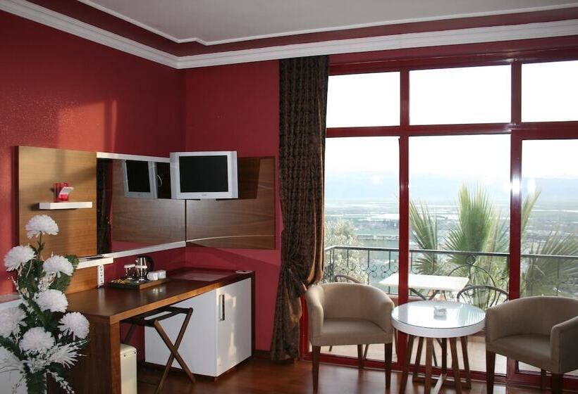 Standard-huone Allasnäkymä, Nysa