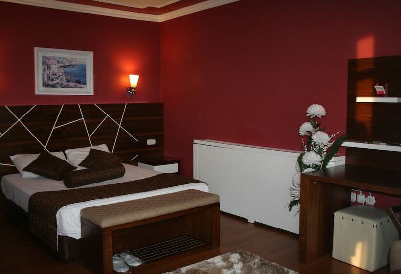 Standard-huone Allasnäkymä, Nysa