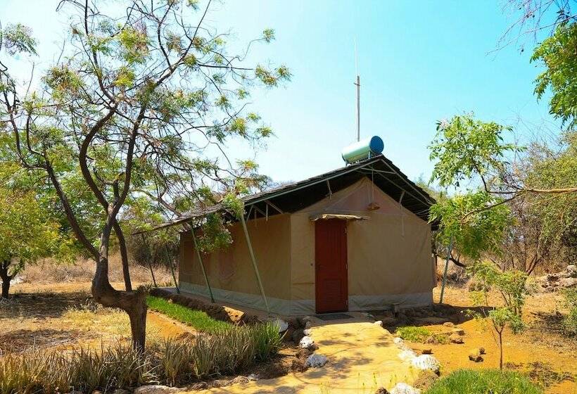 اتاق استاندارد یک نفره, Sentrim Amboseli Lodge