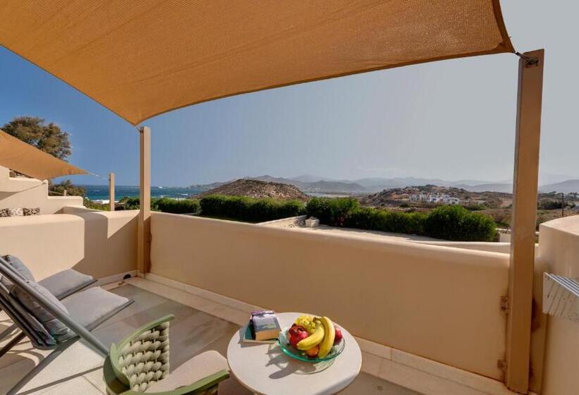 Номер Стандарт Вид на Море, Kouros Art