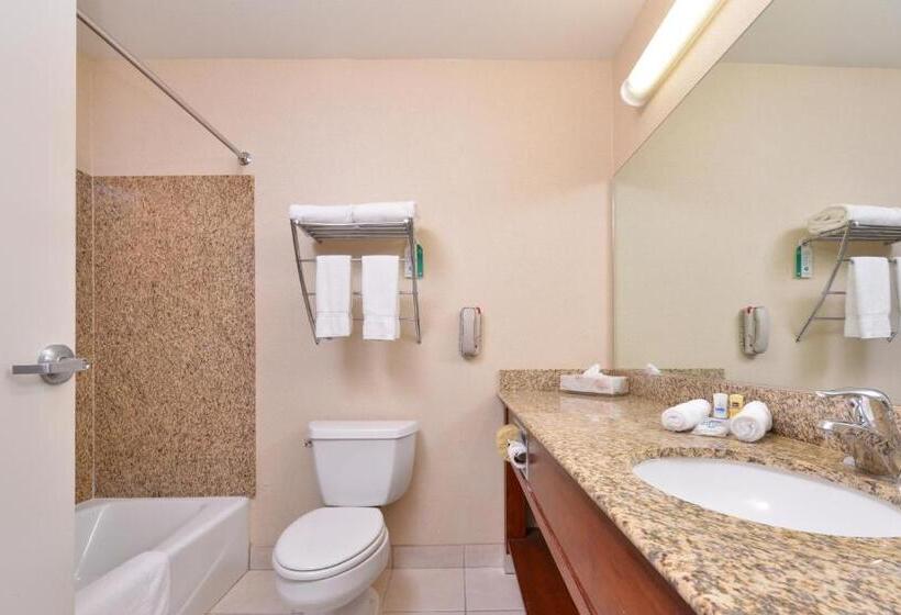 带大床的标准间, Starlight Inn Joshua Tree   29 Palms