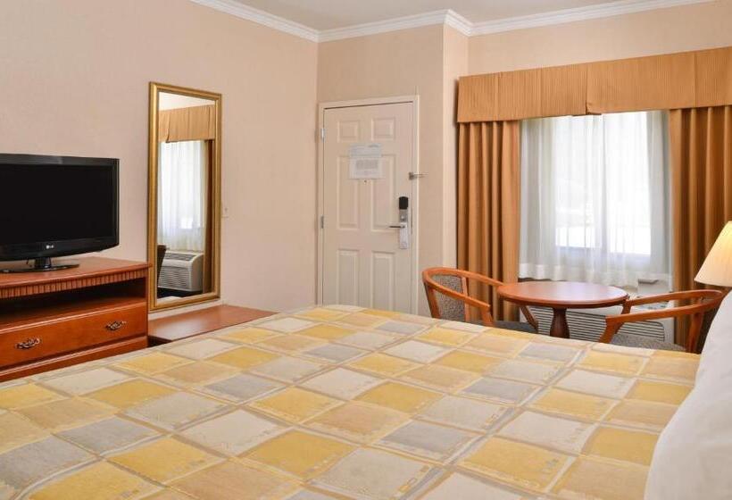 带大床的标准间, Starlight Inn Joshua Tree   29 Palms