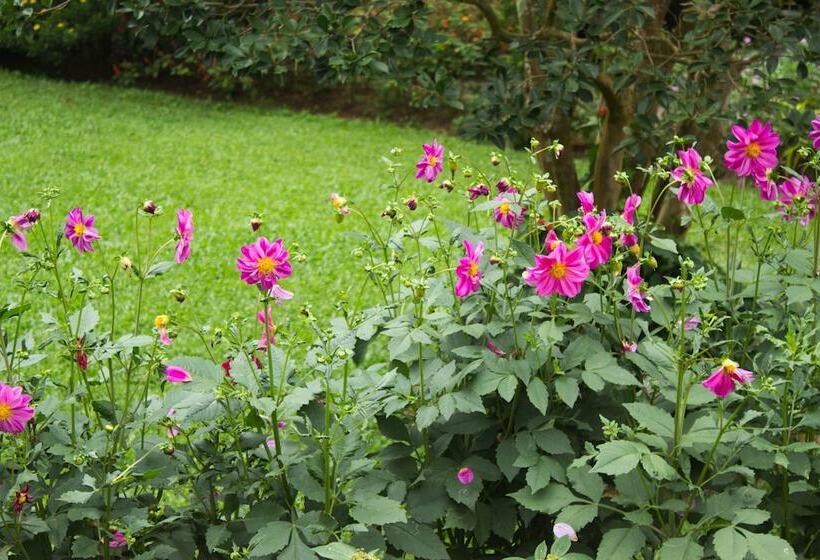 Bungalow Standard, Mountbatten Bungalow