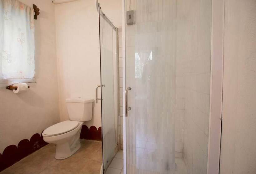 اتاق استاندارد, Eco Hotel Uxlabil Atitlan