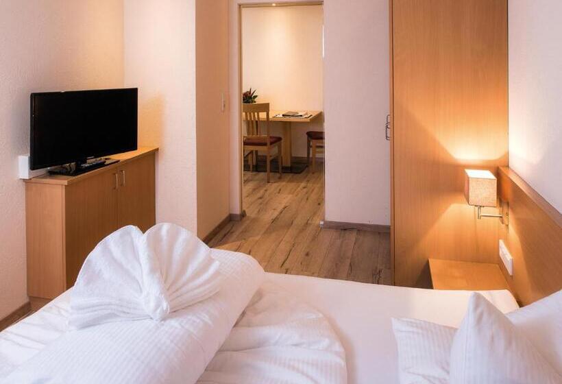 Студия Стандарт, Garni Alpenjuwel