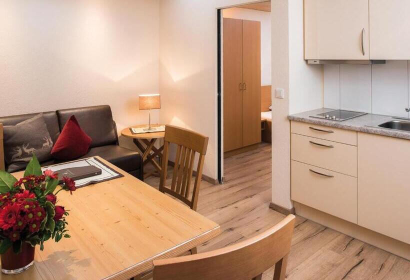 Студия Стандарт, Garni Alpenjuwel