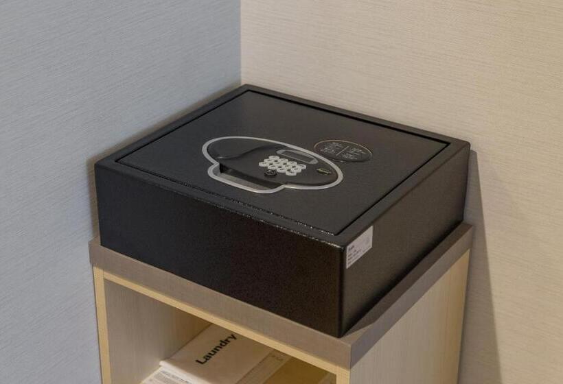 Номер Премиум, Jr Kyushu Hotel Blossom Hakata Central