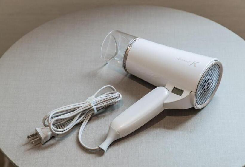 프리미엄 룸, Jr Kyushu Hotel Blossom Hakata Central