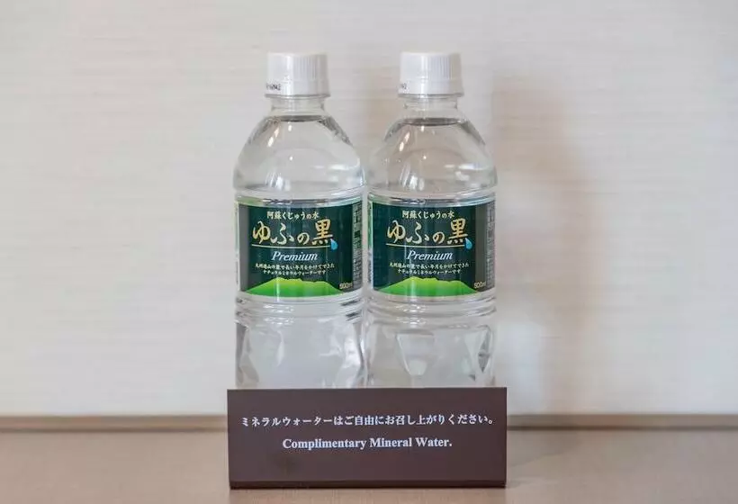 デラックスルーム, Jr Kyushu Hotel Blossom Hakata Central