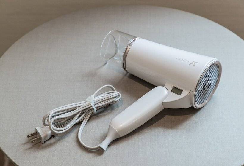 프리미엄 룸, Jr Kyushu Hotel Blossom Hakata Central