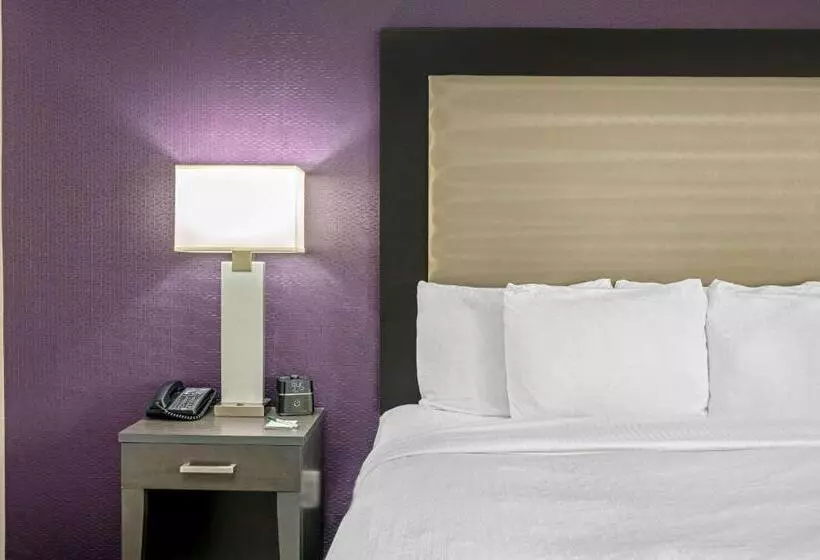 اتاق استاندارد, La Quinta Inn & Suites By Wyndham College Station South