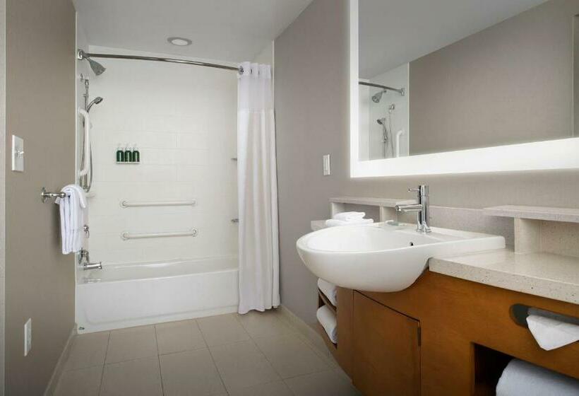 חדר סטודיו סטנדרד, Springhill Suites By Marriott Tuscaloosa