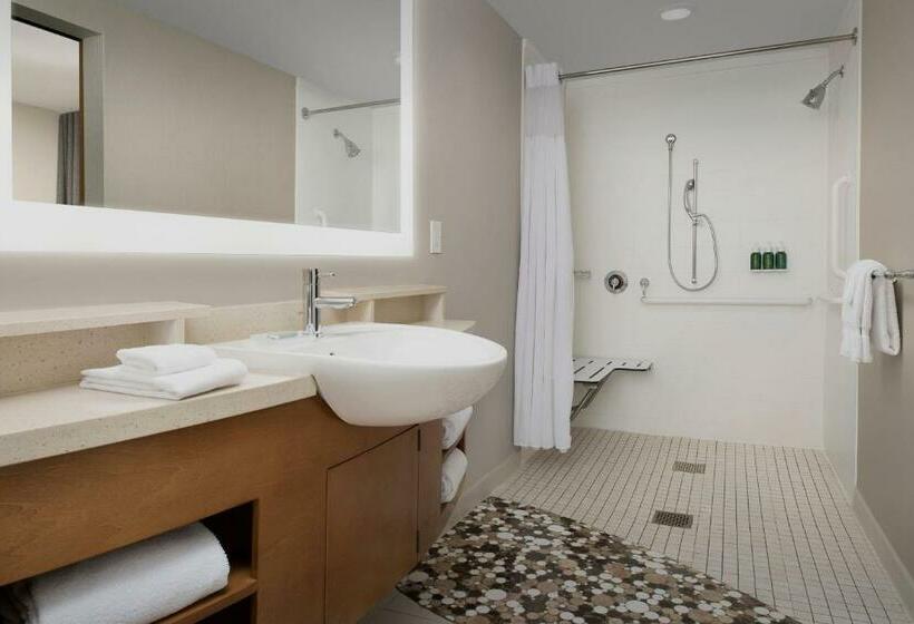 Студия Стандарт, Springhill Suites By Marriott Tuscaloosa