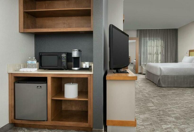 חדר סטודיו סטנדרד, Springhill Suites By Marriott Tuscaloosa