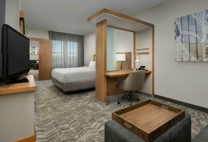 חדר סטודיו סטנדרד, Springhill Suites By Marriott Tuscaloosa