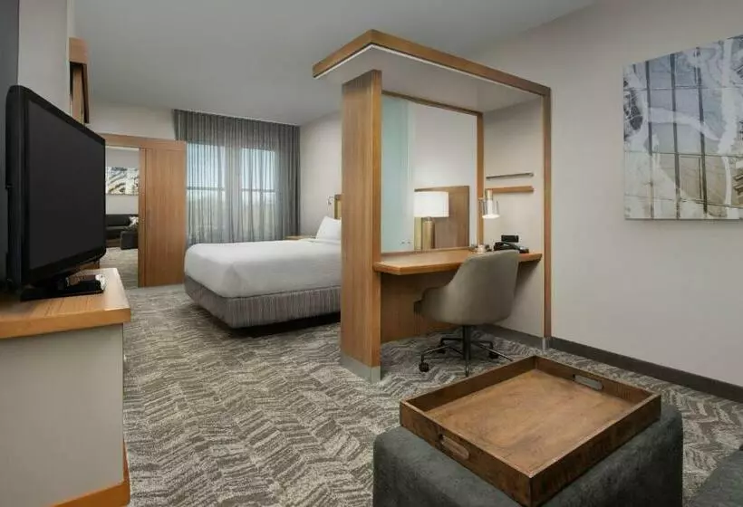 スタンダードスタジオ, Springhill Suites By Marriott Tuscaloosa