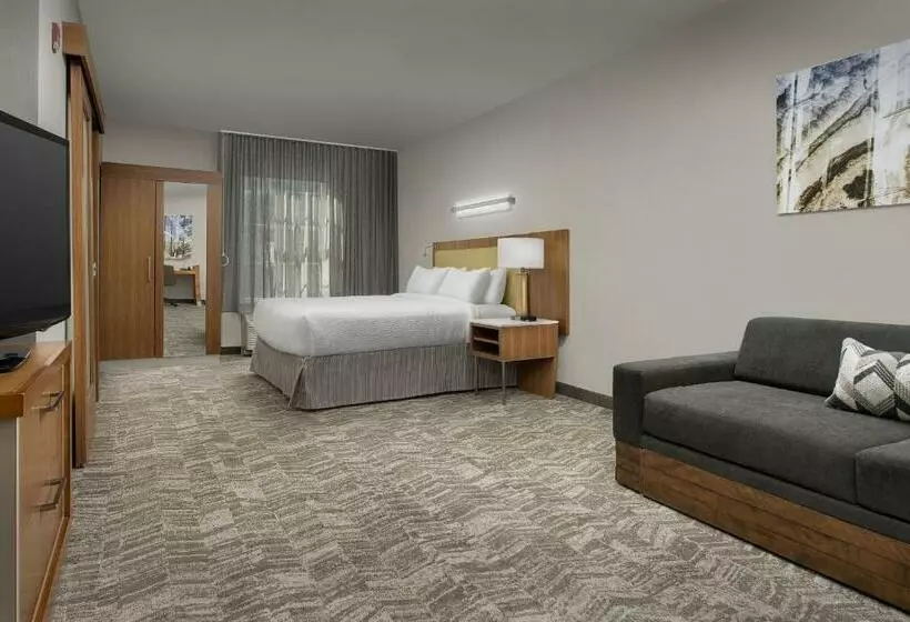 スタンダードスタジオ, Springhill Suites By Marriott Tuscaloosa