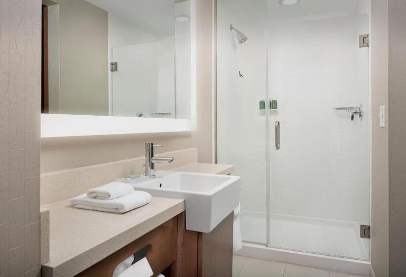 Студия Стандарт, Springhill Suites By Marriott Tuscaloosa