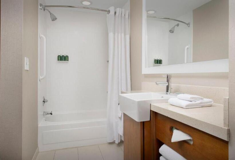 חדר סטודיו סטנדרד, Springhill Suites By Marriott Tuscaloosa