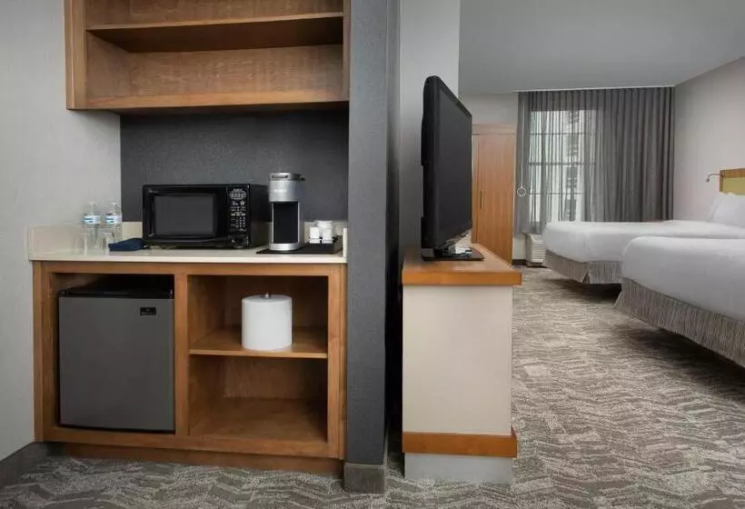 スタンダードスタジオ, Springhill Suites By Marriott Tuscaloosa