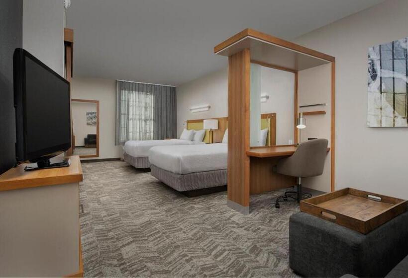 Студия Стандарт, Springhill Suites By Marriott Tuscaloosa
