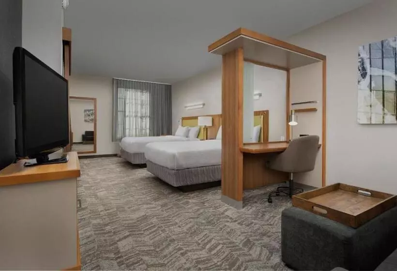 スタンダードスタジオ, Springhill Suites By Marriott Tuscaloosa
