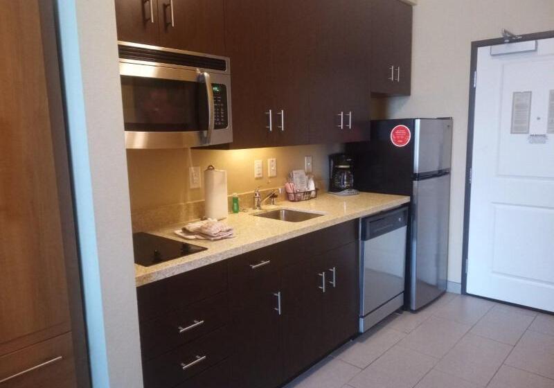 جناح سرير كينج, Towneplace Suites By Marriott Carlsbad