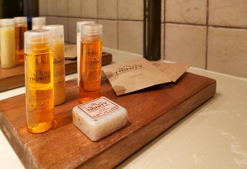 스탠다드 룸, Trinity Residence Bansko