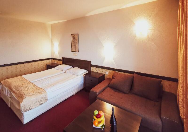 스탠다드 룸, Trinity Residence Bansko