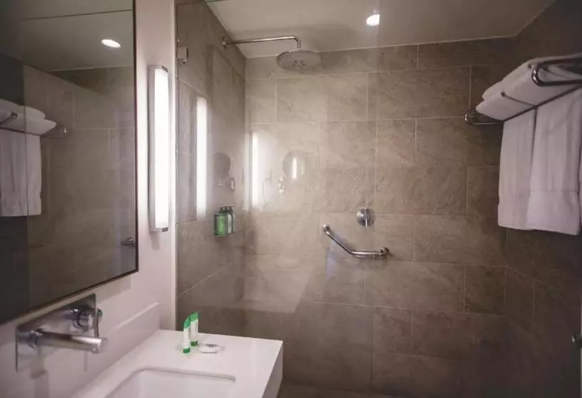 Standard-huone King-vuode, Wyndham Tamarindo