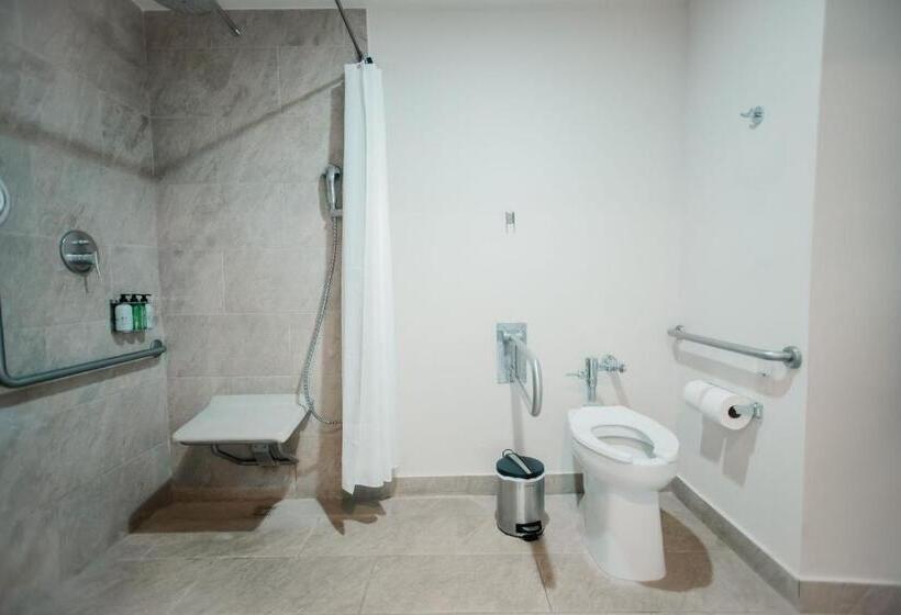 身障者適用キングサイズベッドルーム, Wyndham Tamarindo