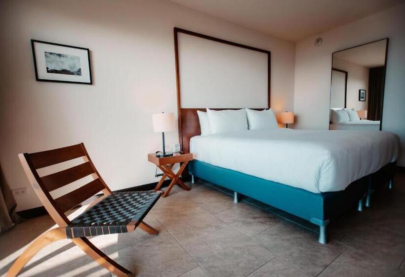 身障者適用スタンダードルーム, Wyndham Tamarindo