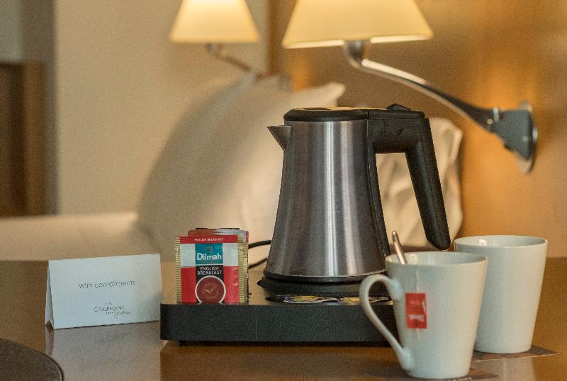 身障者適用キングサイズベッドルーム, Wyndham Tamarindo