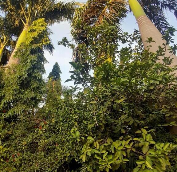 اتاق استاندارد سه نفره, Korona Villa Lodge