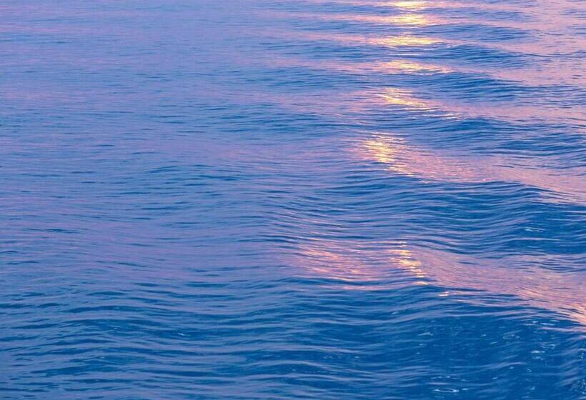 豪华房间, Paradise Design Apartments