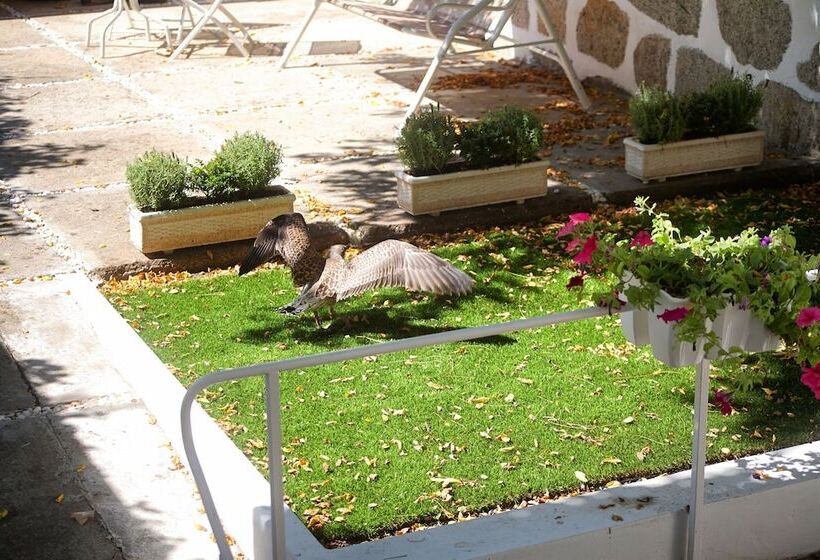 اتاق خانوادگی, Charming House Marques