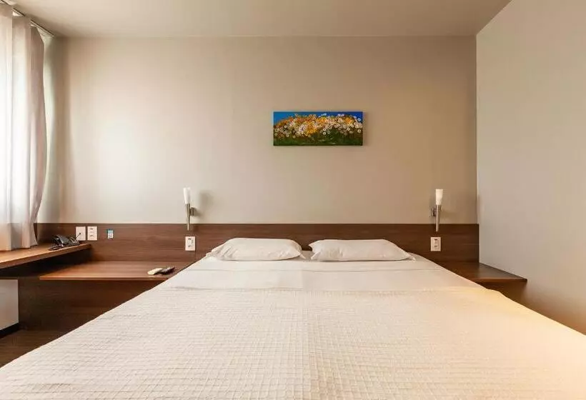 Deluxe Yhden Hengen Huone, Tri Hotel Executive Lajeado