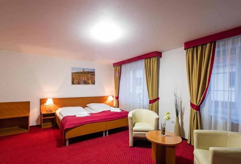 수피리어 룸, Wine Wellness Hotel Amande Hustopeče